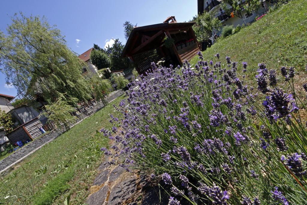 Apartment House Lalita Fužine Екстериор снимка
