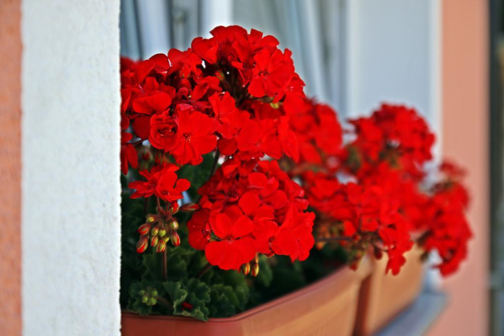 Apartment House Lalita Fužine Екстериор снимка